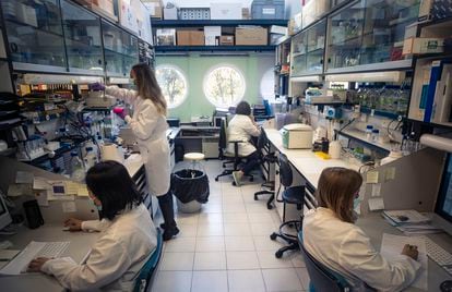 Researchers from the CNB in Tres Cantos (Madrid). 