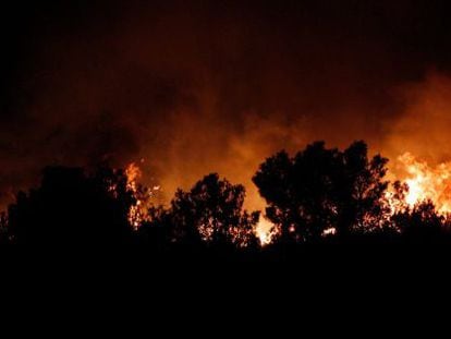 Fire broke out overnight in a forest near Gilet in the province of Valencia.