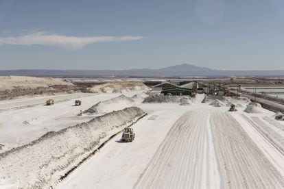 Camiones transportan cloruro de potasio en la mina Albemarle Corp. en Calama, Chile.