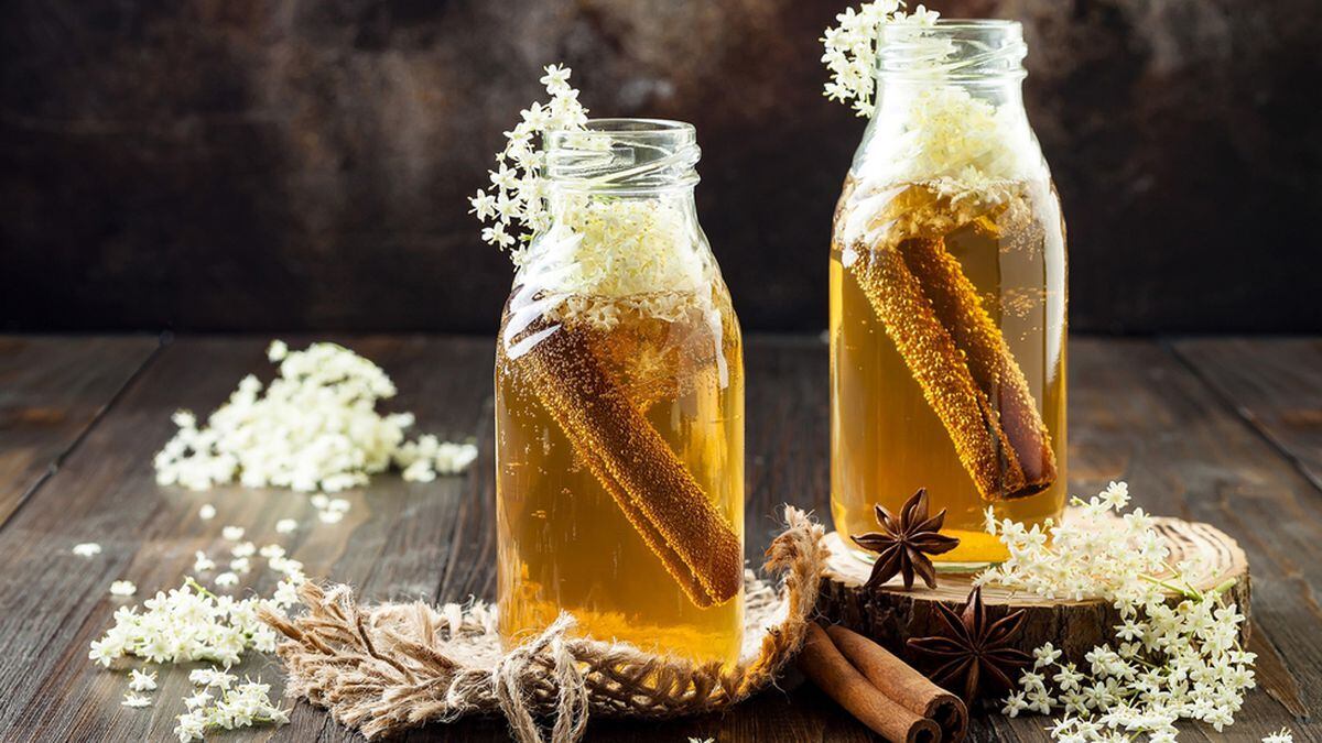 Kombucha is not what it appears to be: How to avoid being deceived, Lifestyle