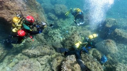 Underwater archaeologists from Alicante University searching the area where two amateur divers found Roman coins