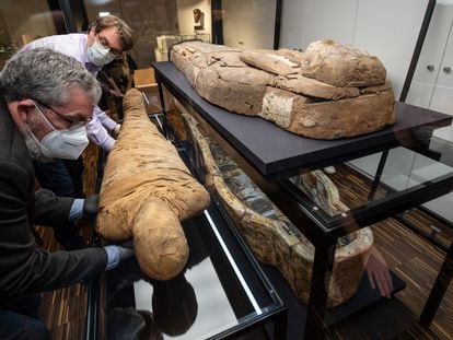 Helge Nieswandt, curator (l) and Prof. Achim Lichtenberger, Director of the Archaeology Museum at Münster University, place an elaborately restored "Münster Mummy" next to its sarcophagus in a new display case.