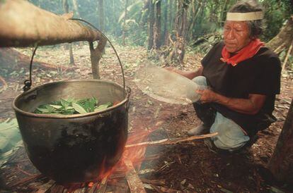 A shaman boils leaves to prepare ayahuasca.