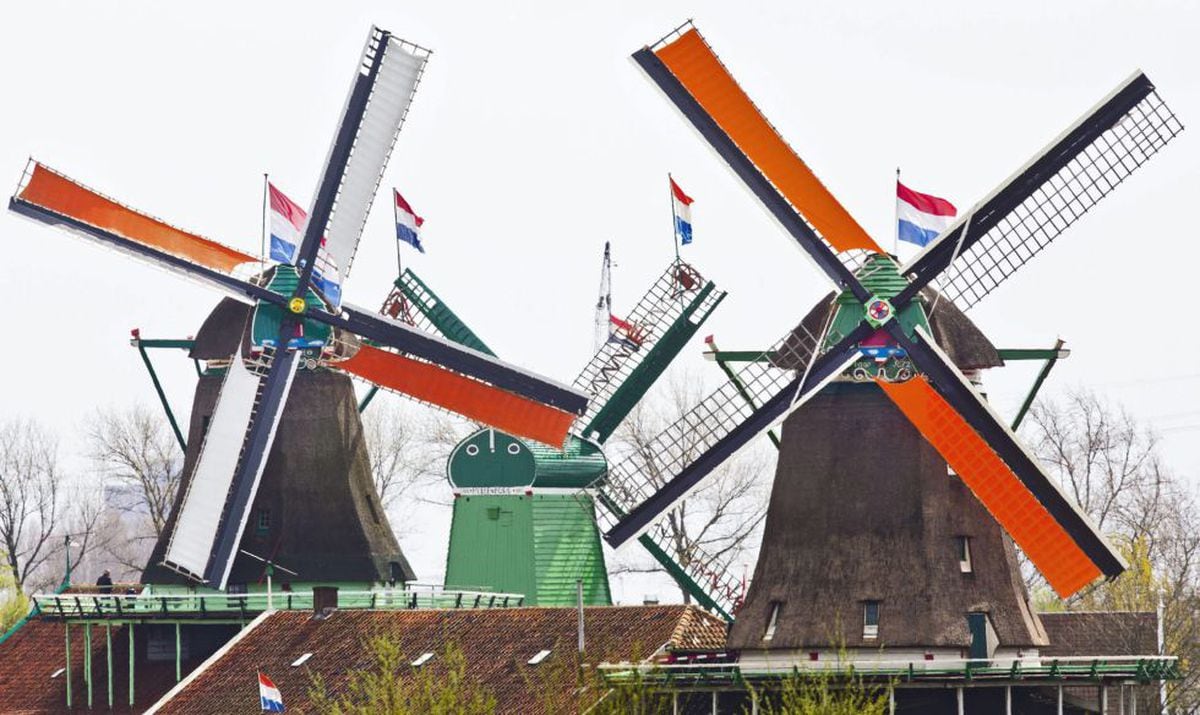 Dutch Mills: Terugkeer van de Nederlandse molenaar |  Internationale