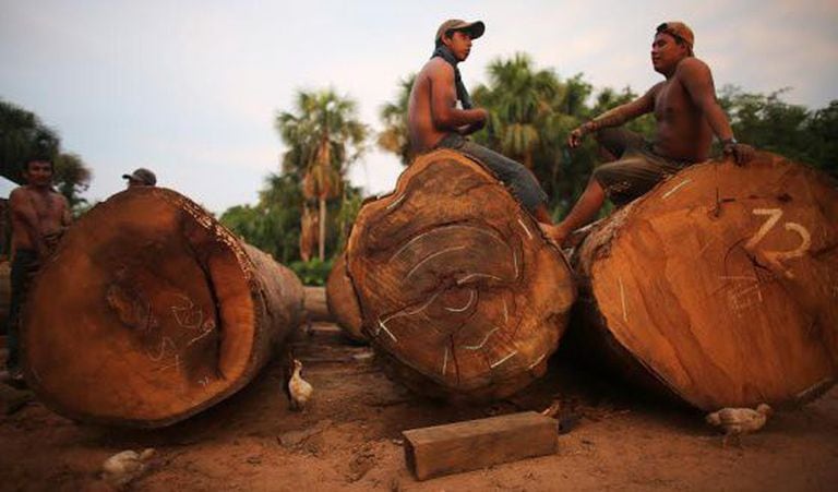 Deforestation affects the Madre de Dios region in the Peruvian Amazon.