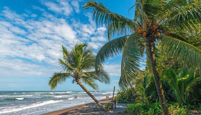 Tortuguero Costa Rica Court Releases Suspect Accused Of Killing Tortuguero Costa Rica Court Releases