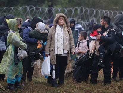 Migrants on the border between Belarus and Poland.