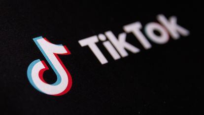 TikTok logo is seen in this illustration taken, June 2, 2023.