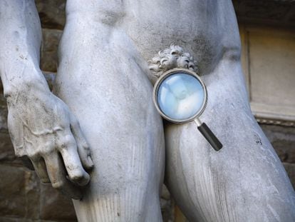 Even the penis size of Michelangelo's David has been judged; many have wondered why classical male statues have what they believe to be such “small” members.