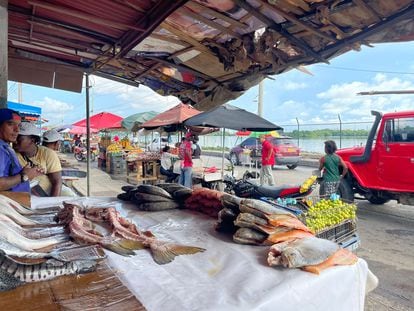 Bazurto market in Cartagena (Colombia).
