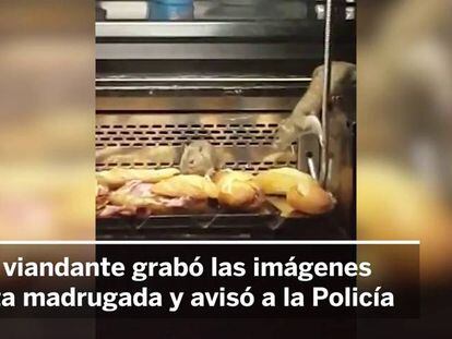 VIDEO: Police shut down Madrid bakery after rats spotted in counter