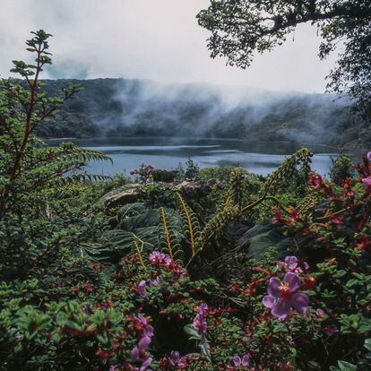 The Laguna de Botos surrounded by vegetation, around the Poás Volcano, in Costa Rica.