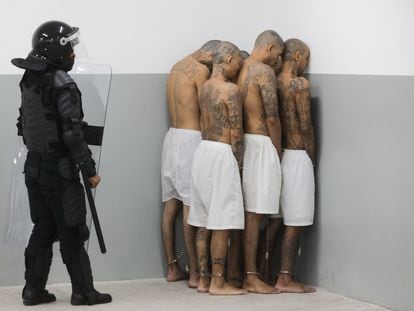 A group of Salvadoran gang members transferred to the so-called Terrorism Confinement Center last weekend.