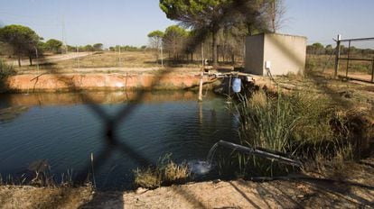 An illegal water deposit used for irrigation around Doñana.