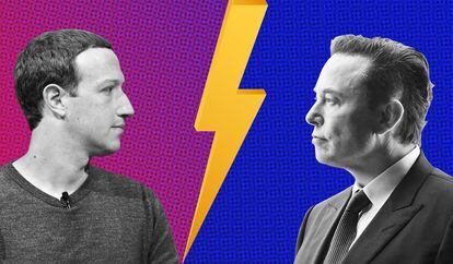 Zuckerberg Vs Musk: Disputes Heat Up Over Billionaire Cage Fight