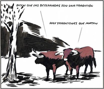 – They say that bullfights with calves are a tradition. – There are traditions that kill...