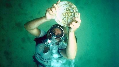A diver displays a gold plate found on the Spanish galleon 'Santa Margarita.'