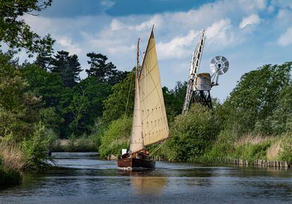 A sailboat navigates the River Ant, in The Broads National Park, in the county of Norfolk (United Kingdom).