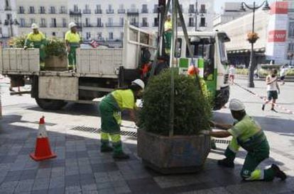Planters are placed in Madrid's central Puerta del Sol.