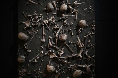 Human remains found in Germany, on display at The World of Stonehenge exhibition.