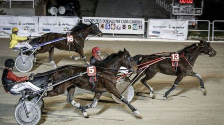 A harness race at the Son Pardo racetrack in Palma de Mallorca in 2013.