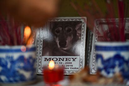 Lit candles next to a dog’s grave in Hanoi, Vietnam. 