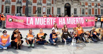 Volunteers from the El Refugio animal protection association celebrate the Madrid regional assembly’s decision to study changing abandoned pet laws.