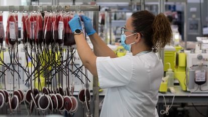 A worker handles samples at a blood transfusion center in the Madrid region.