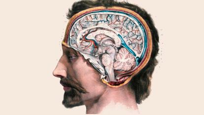 A side view of the brain’s interior as illustrated by Nicolas Henri Jacob in 1844.