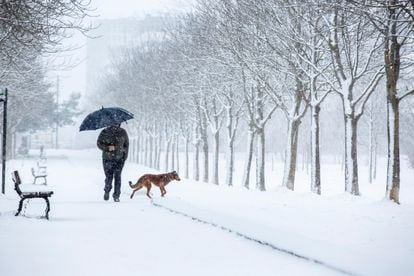A man walking his dog in the Basque city of Vitoria on Monday.