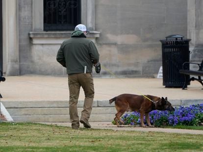 An ordinance sniffing dog patrols the Mississippi State Capitol grounds as Capitol Police respond to a bomb threat at the state building in Jackson, Miss., Jan. 3, 2024.