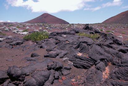The eruption of an underwater volcano off the Canary island of El Hierro in 2011 is just the latest chapter of an epic geological journey that began 100 million years ago, when the seabed opened up and released the magma that formed the isle. The smallest and wildest island in the archipelago, its 278 square kilometers contain over 500 volcanic cones and nearly 70 lava-made caves such as Don Justo, whose galleries span over six kilometers. / http://geoparqueelhierro.es
