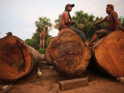 Deforestation affects the Madre de Dios region in the Peruvian Amazon.