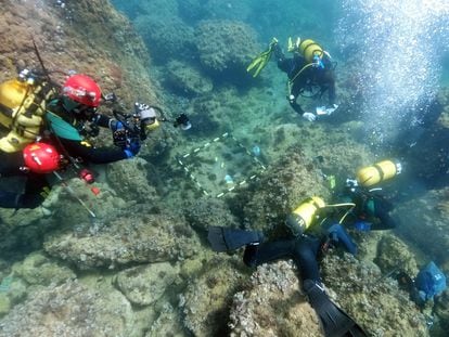 Underwater archaeologists from Alicante University searching the area where two amateur divers found Roman coins