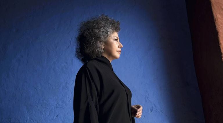 Doris Salcedo.