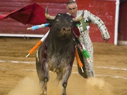 El Pana will never face another bull again.