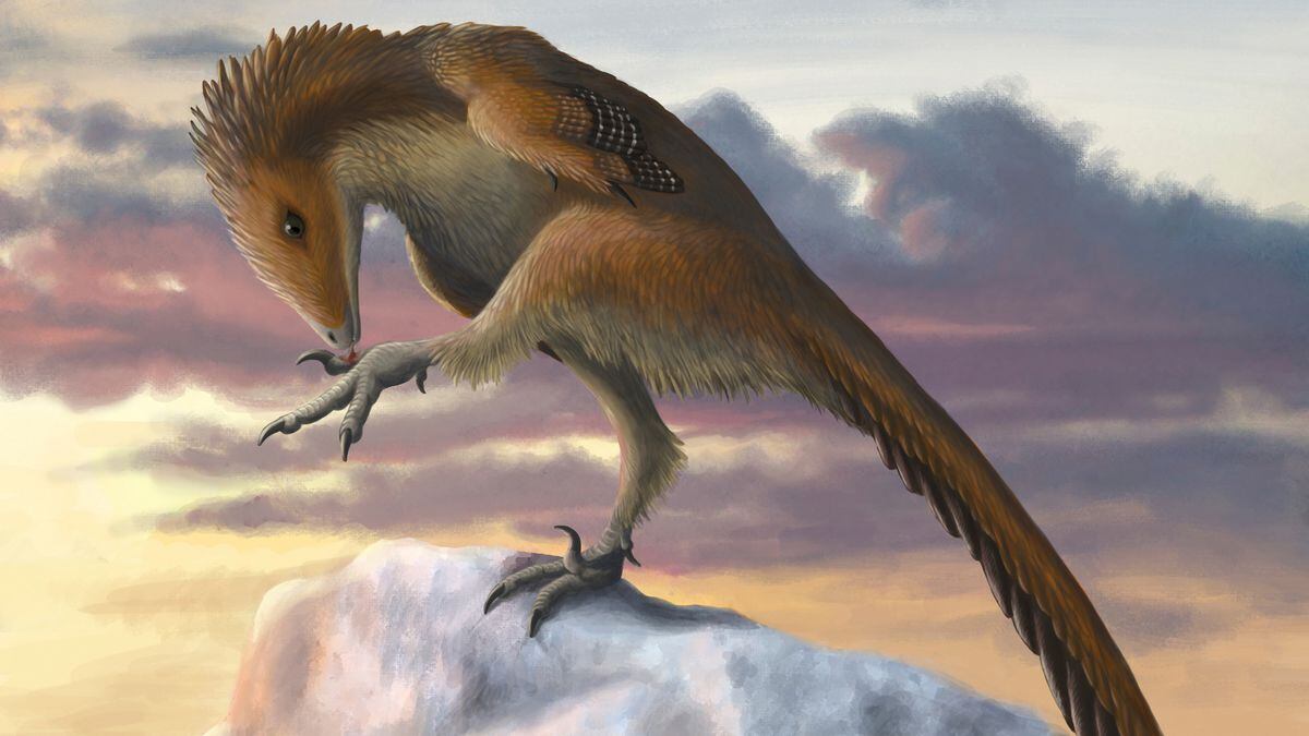 Photo of Ce fut le premier dinosaure carnivore doté d’une super intelligence découvert au Mexique |  les sciences et la technologie