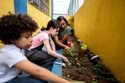 The garden harvest is key to talking about nutrition and pupils can learn garden vocabulary in all the languages that are taught at the institution.