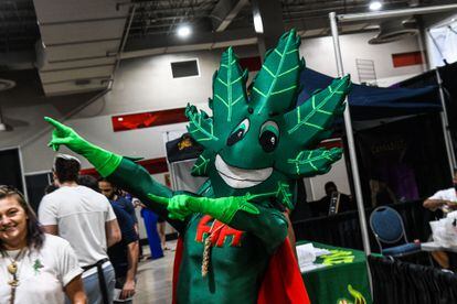 A person dressed as a Marijuanas leaf