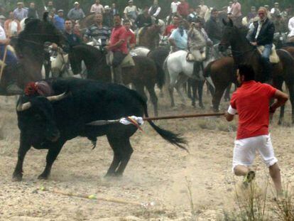 Video of the 2006 Toro de la Vega spear hunt in Tordesillas (Valladolid).