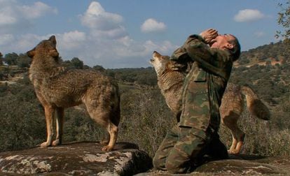 Marcos Rodr&iacute;guez Pantoja howls alongside two wolves in a scene from the documentary about his life in the mountains, &#039;Marcos, the lone wolf&#039;.