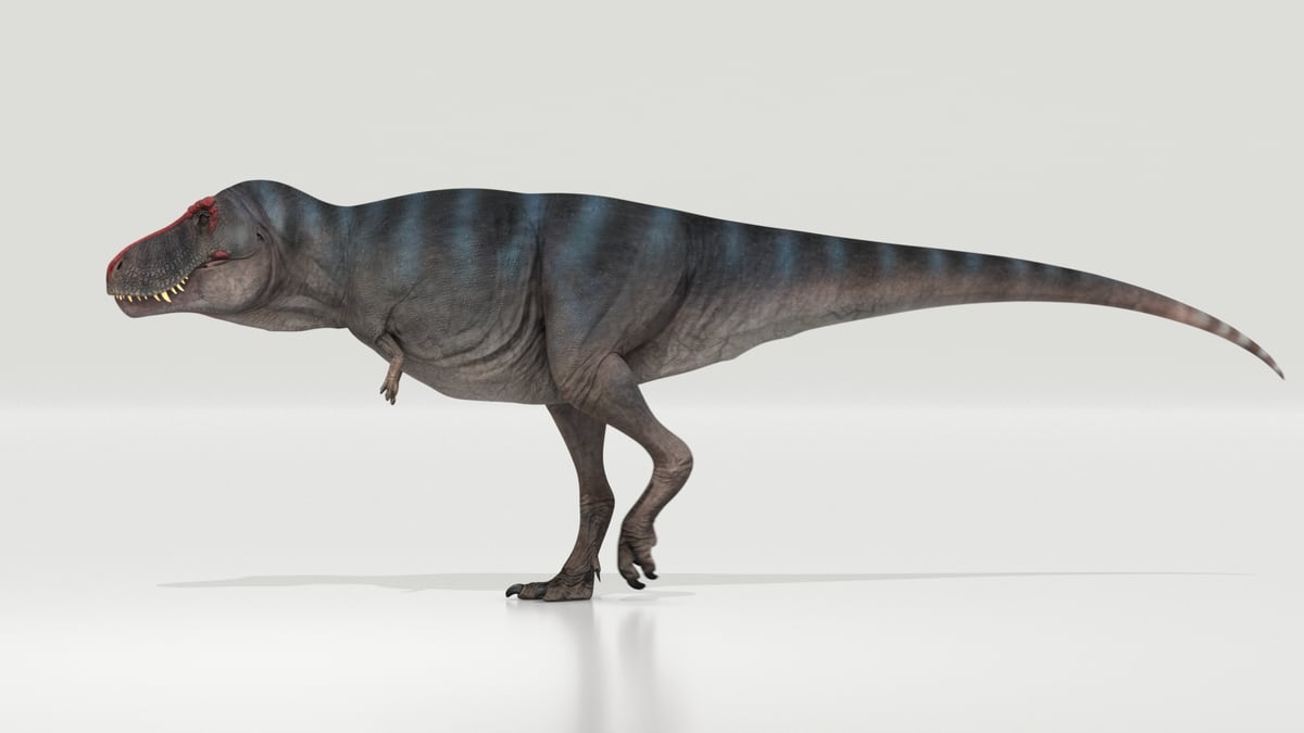 Fewer T. rex walked the Earth than previous estimated, new study