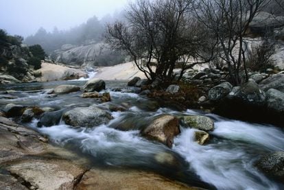 Stretching over 33,960 hectares, the Sierra de Guadarrama between Madrid and Segovia was declared a national park in 2013. Featuring lakes and rivers, pine forests and waterfalls, it is another example of the natural ecosystems of the Mediterranean mountains where wolves, Golden Eagles and black storks thrive.