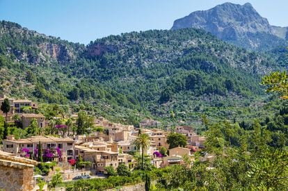 The strict building code of this village of 700 people tucked away in the Tramontana mountains, in the Valley of Sóller, goes a long way toward explaining the excellent state of conservation of its stone houses. Cobbled streets wind up through orange and lemon groves shouldered by the imposing rocky heights of Els Cornadors.
