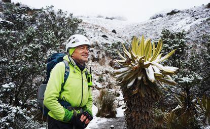 Jorge Luis Ceballos during an ascent of the Conejeras glacier. On the right is an espeletia plant, commonly known as ‘frailejones.’