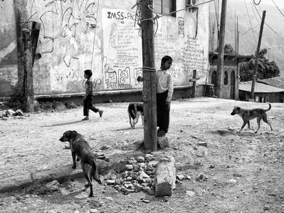 A boy plays with dogs in the community of San Miguel, in the Guerrero mountains.