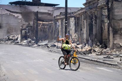 A man and dog ride along Main Street past wildfire damage, Friday, Aug. 11, 2023, in Lahaina, Hawaii. 