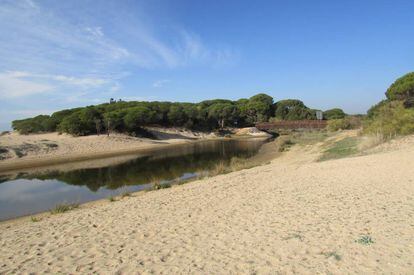 Our focus is on the far end of the Flecha del Rompido, a strip of sand that is part of a protected natural environment and which is accessible via ferry from the port of Cartaya. Sunglasses are a must in this soft and sandy lookout point into a riverlike natural landscape where the passing ships create a visual distraction.