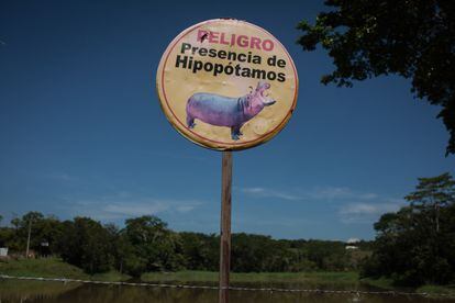 Aviso hipopótamos Pablo Escobar