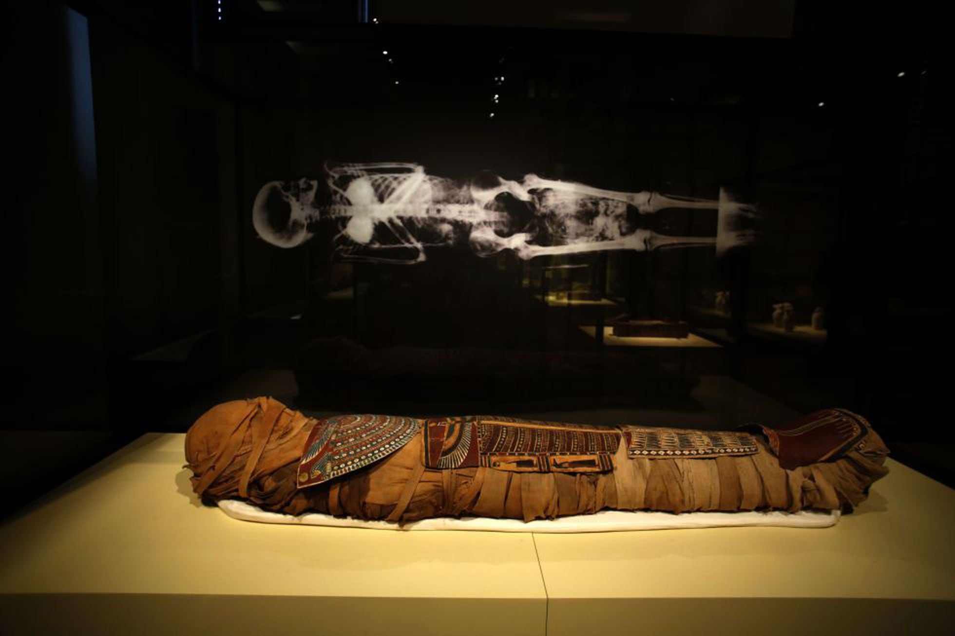 Return of the Cat Mummy — Google Arts & Culture